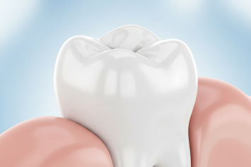 Are You Brushing Your Molars Properly?